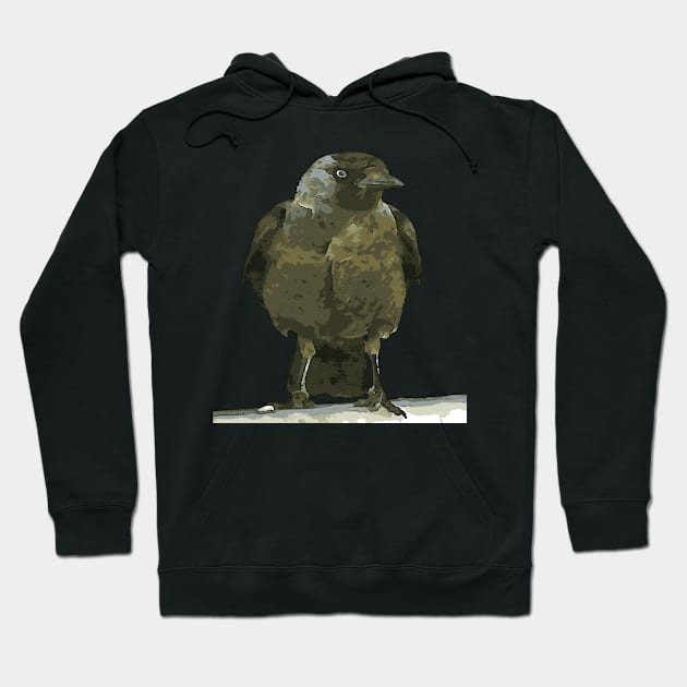 Black Hooded Crow Perched on A Balustrade Black Outline Art Hoodie by taiche